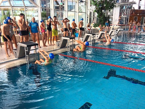 Freudenstadt: Schwimmer freuen sich auf Freibad - Schwarzwälder Bote