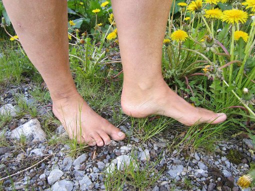 singles ohne anmeldung finden