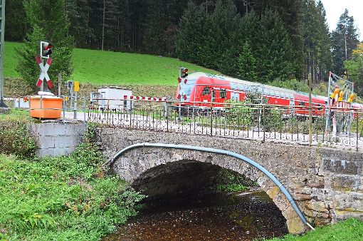 Fußgänger dürfen die Brücke in Stockburg noch passieren, auf der Ernst Laufer (links) und Klaus Neininger stehen. Fotos: Seiss Foto: Schwarzwälder-Bote