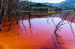 Auch wenn die Farbe längst nicht so auffällig ist wie auf diesem Foto: Rot gefärbtes Bachwasser bei Blumberg gibt derzeit Rätsel auf. (Symbolfoto) Foto: Mihai Simonia/ Shutterstock