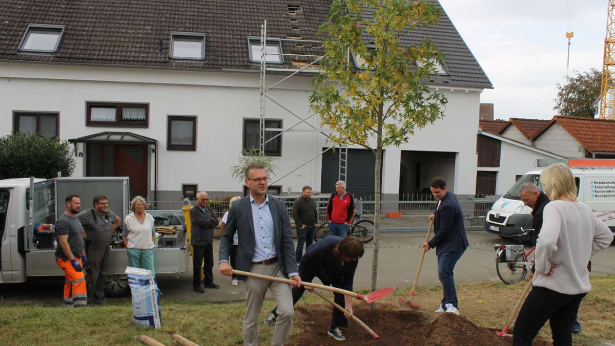 Ärger in Rottenburg: Baumpflanzaktion führt zu lautstarkem Protest