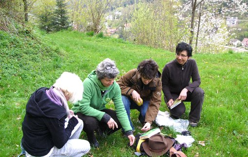 Schwarzwald-Guide Monika Wurft bietet wieder Kräuterwanderungen an, die erste am 10. April. Foto: privat Foto: Schwarzwälder-Bote