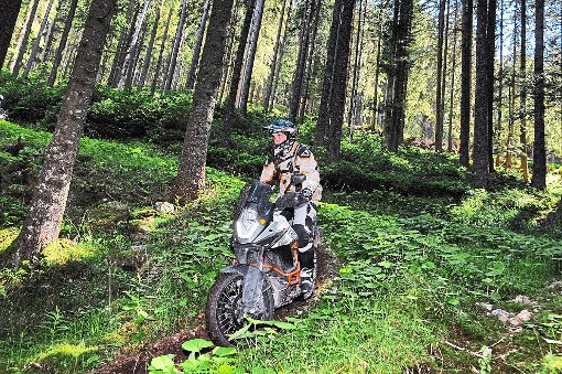 Sechsmal dürfen in diesem Jahr Motorradfahrer geführte Touren durch den Vöhrenbacher Wald unternehmen. Die erste Tour ist am 2. Juli. Foto: Touratech Foto: Schwarzwälder-Bote