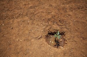 In Teilen Äthiopiens, Kenias und Somalias kämpfen die Menschen mit schwerer Dürre (Symbolbild). Foto: imago/photothek/Thomas Trutschel/photothek.net