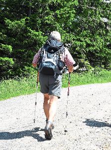 Und los geht’s: Auf die Wanderer des Schwarzwaldvereins Nagold kommen wieder ganz unterschiedliche Touren zu. Foto: Pförtner Foto: Schwarzwälder-Bote