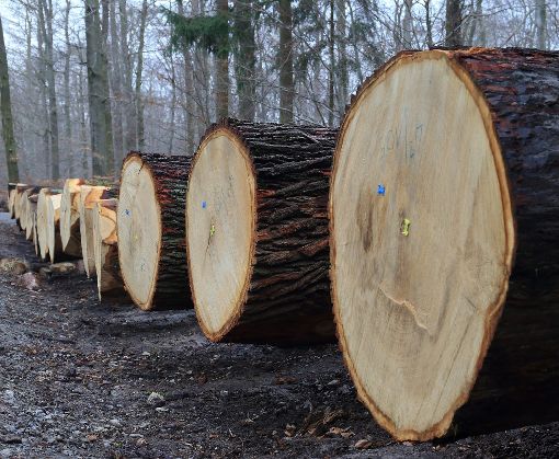 Holz von der Zollernalb ist nach wie vor gefragt, und vorerst soll es  weiterhin vermarktet werden wie gehabt. Foto: Wolf Foto: Schwarzwälder-Bote