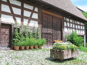 Neben der Sonderausstellung im Bauernmuseum Mühlhausen ist  derzeit der  üppige  Bewuchs zu bewundern. Foto: Leibold Foto: Schwarzwälder-Bote
