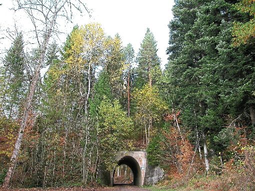 Das Tor in den Wellendinger Wald steht offen. Zahlen des Forsthaushalts nimmt der Gemeinderat entgegen.  Foto: Pfannes Foto: Schwarzwälder-Bote