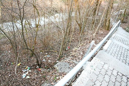 Der Bauhof will sich zeitnah um die Problemzone am Klingenbach kümmern. Obwohl dort Mülleimer aufgestellt sind, wird der Müll achtlos in die Natur geworfen.  Foto: Midinet