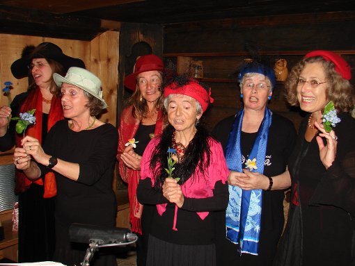 Eröffnet die Klienkunst-Saison im Schiltacher Treffpunkt:  die Gruppe Insalata Musicale.  Foto: Privat Foto: Schwarzwälder-Bote