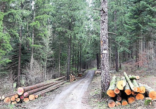 Der Glattener Gemeindewald wirft einiges ab. Der Gemeinderat hat in seiner  jüngsten Sitzung den entsprechenden Haushalt verabschiedet.  Foto: Ade Foto: Schwarzwälder-Bote