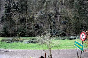 Vom Sturm umgestürzte Bäume unterbrachen die Stromversorgung in Teilen von Hinterlehengericht. Foto: Ziechaus