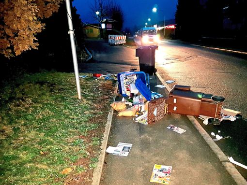 Zum Glück waren es keine Menschen: Im Morgengrauen hat ein Auto zwei Mülltonnen an der Thanheimer Straße angerempelt.   Foto: Privat