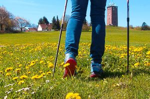 Nordic Walking ist in Dobel angesagt.  Foto: Tourismusbüro Foto: Schwarzwälder-Bote
