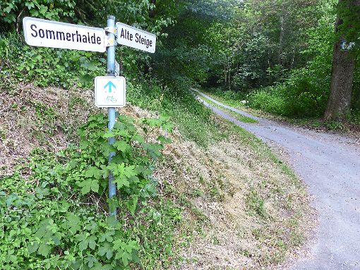 Der geschotterte Weg von der Sommerhalde in Richtung Weitingen soll asphaltiert werden. Foto: Dold Foto: Schwarzwälder-Bote