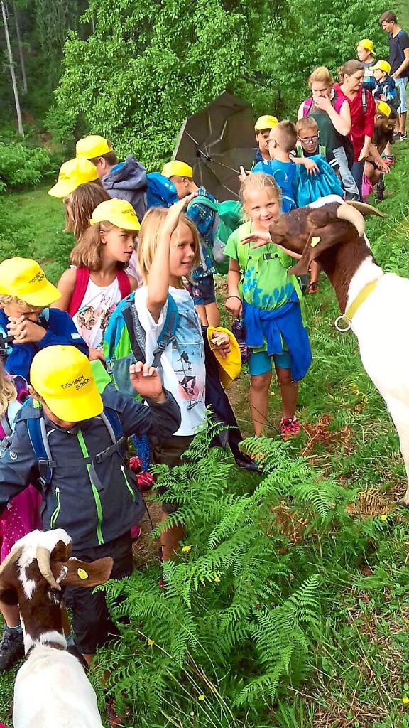 In Forbach erkundeten die Kinder den Ziegenpfad.  Fotos: Müller