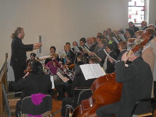 Der Münster- und Fidelischor umrahmt unter Leitung von Roman Laub den Gottesdienst mit einer Haydn-Messe. Foto: Diebold Foto: Schwarzwälder-Bote