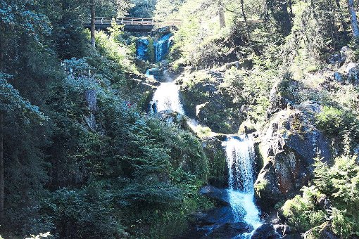 Ein Wechsel von Licht und Schatten, Wasser und Wald - Deutschlands höchste Wasserfälle in Triberg ziehen jedes Jahr viele Tausend Besucher aus aller Welt an. Foto: Reutter