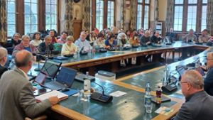 Integrationskurs in Schramberg: Politische Bildung bei Ratssitzung
