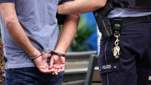 Die Polizei hat einen 27-jährigen Tatverdächtigen  festgenommen. (Symbolfoto) Foto: Johannes Neudecker/dpa