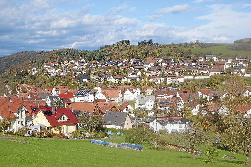 Wildberg: Junge Familien sollen bauen - Wildberg ...