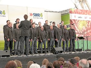 Die Calwer Stimmen sangen in Sigmaringen zwar ganz hervorragend, aber nur die Fachjury gab ihnen die Höchstpunktzahl.   Foto: Lahmann-Vogt