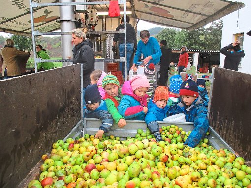 Aus dem Anhänger nehmen die Kinder die Äpfel, die kurz darauf zu frischem Saft gepresst werden sollen. Foto: Kiga Foto: Schwarzwälder-Bote