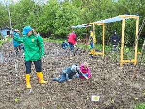 Voller Einsatz für Matschhose und Gummistiefel: Auf Knien  arbeiten die Kinder auf dem Acker. Foto: Gartenfreunde Foto: Schwarzwälder-Bote