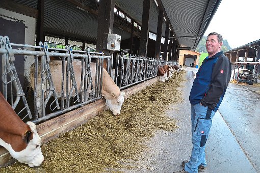 Wir Bauern jammern ja ganz gerne, sagt Martin Blaich mit einem Augenzwinkern. Aber die aktuellen, kaum kostendeckenden Milchpreis geben auch ihm Anlass, über neue Strategien in der regionalen Landwirtschaft nachzudenken. Foto: Kunert