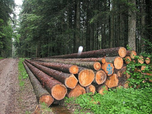 Befestigte Wege für schwere Holzernte-Maschinen stehen auf dem Vorhabenkatalog des Forstes in den Jahren bis 2024.  Foto: Pfannes Foto: Schwarzwälder-Bote