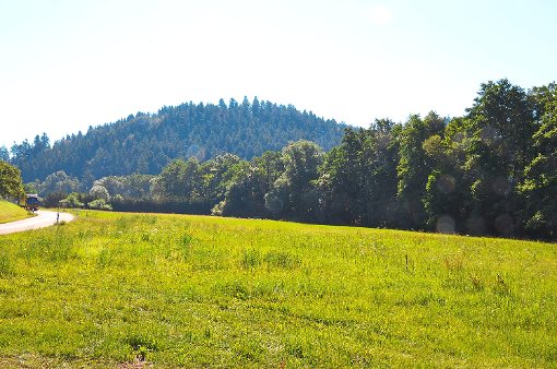 Zwölf Wohnbaugrundstücke sollen am Ortsausgang von Trichtingen entstehen. Foto: Wagner Foto: Schwarzwälder-Bote