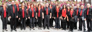 Ein Konzert  mit Liedern zur Passionszeit gibt der Chor cantus iuvenis am kommenden Sonntag in der evangelischen Kirche in Winterlingen  Foto: Chor Foto: Schwarzwälder-Bote