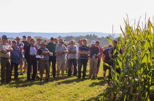 Auf den Versuchsfeldern in Orschweier informierten sich die Landwirte über die neuesten Trends beim Mais- und Sojaanbau. Foto: Decoux