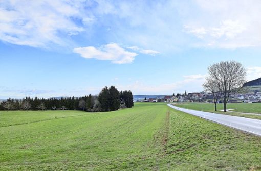 Hier, 200 Meter vom Ortsrand von Fürstenberg entfernt, möchte ein Betreiber einen Mobilfunkmast errichten. Foto: Rainer Bombardi
