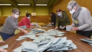 Kommunalwahl in Donaueschingen: Wie repräsentativ  die Kandidatenlisten sind
