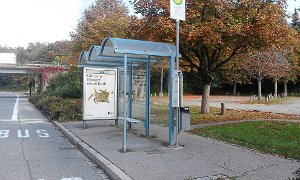 Als gelungenes Beispiel einer überdachten Bushaltestelle wurde die beim Villinger Friedhof genannt.   Foto: Streck Foto: Schwarzwälder-Bote
