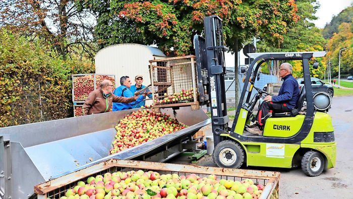 Wie wird die Apfelernte in diesem Jahr ausfallen?