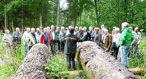 Die Teilnehmer der Info-Fahrt aus Sulz  lassen sich vom Förster die Waldwirtschaft im Rammert erklären.  Foto: FBG Foto: Schwarzwälder-Bote