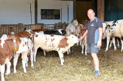 Auf dem Brunnenhof beherbergt Jens Mayer rund 300 Rinder. Einen Teil seiner kommunalpolitischen Arbeit will der Neustadtrat folgerichtig auch den Belangen der Landwirtschaft widmen.  Foto: Bacher Foto: Schwarzwälder-Bote
