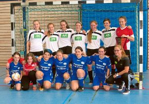 Die B-Mädchen des FV Locherhof (vorne, kniend) mussten sich im Endspiel um die Futsal-Bezirksmeisterschaft knapp mit 1:2 der SpVgg Aldingen  hinten) geschlagen geben. Foto: Peiker