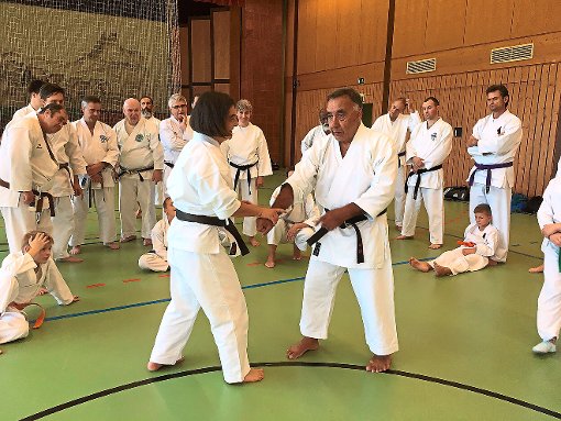 Konzentriert verfolgten die Karateka in Schörzingen die  Ausführungen und Anleitungen von Carlos Molina.  Foto: Wilde Foto: Schwarzwälder-Bote