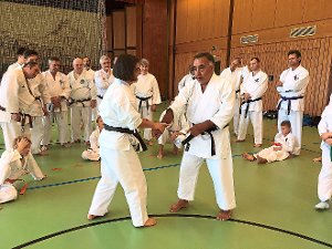Konzentriert verfolgten die Karateka in Schörzingen die  Ausführungen und Anleitungen von Carlos Molina.  Foto: Wilde Foto: Schwarzwälder-Bote