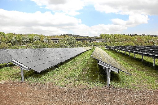 Mit der Stromproduktion im Solarpark Stierberg I ist die Betreibergesellschaft PT Erneuerbare Energien sehr zufrieden. Foto: Reutter Foto: Schwarzwälder-Bote