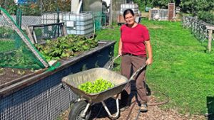 Wie Gartenarbeit in Herbolzheim zur Therapie wird