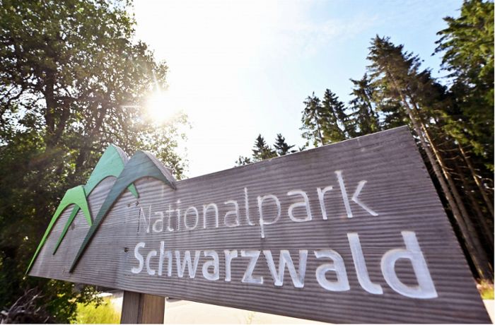 Schwarzwald: Koalitionsknatsch um Erweiterung des Nationalparks