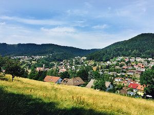 Idyllisches Alpirsbach – im Gemeinderat ist die Stimmungslage von Idylle weit entfernt. Foto: Sonnenberg