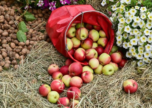 Frisch geerntete Äpfel und Walnüsse liegen zwischen Blumen im Heu. (Symbolfoto) Foto: Patrick Pleul/dpa-Zentralbild/dpa