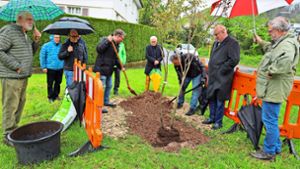 Politik in Sulz: Ein Baum für den Bundestagsabgeordneten