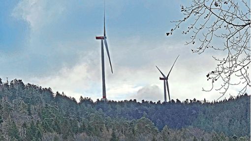 Die Anlagen des Windparks Hirschgarten/Langenbrander Höhe sind von weitem zu sehen. Foto: Markus Kugel