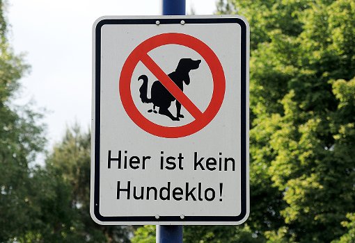 Das Thema Hundeklo im Ortschaftsrat Foto: Holschneider Foto: Schwarzwälder-Bote